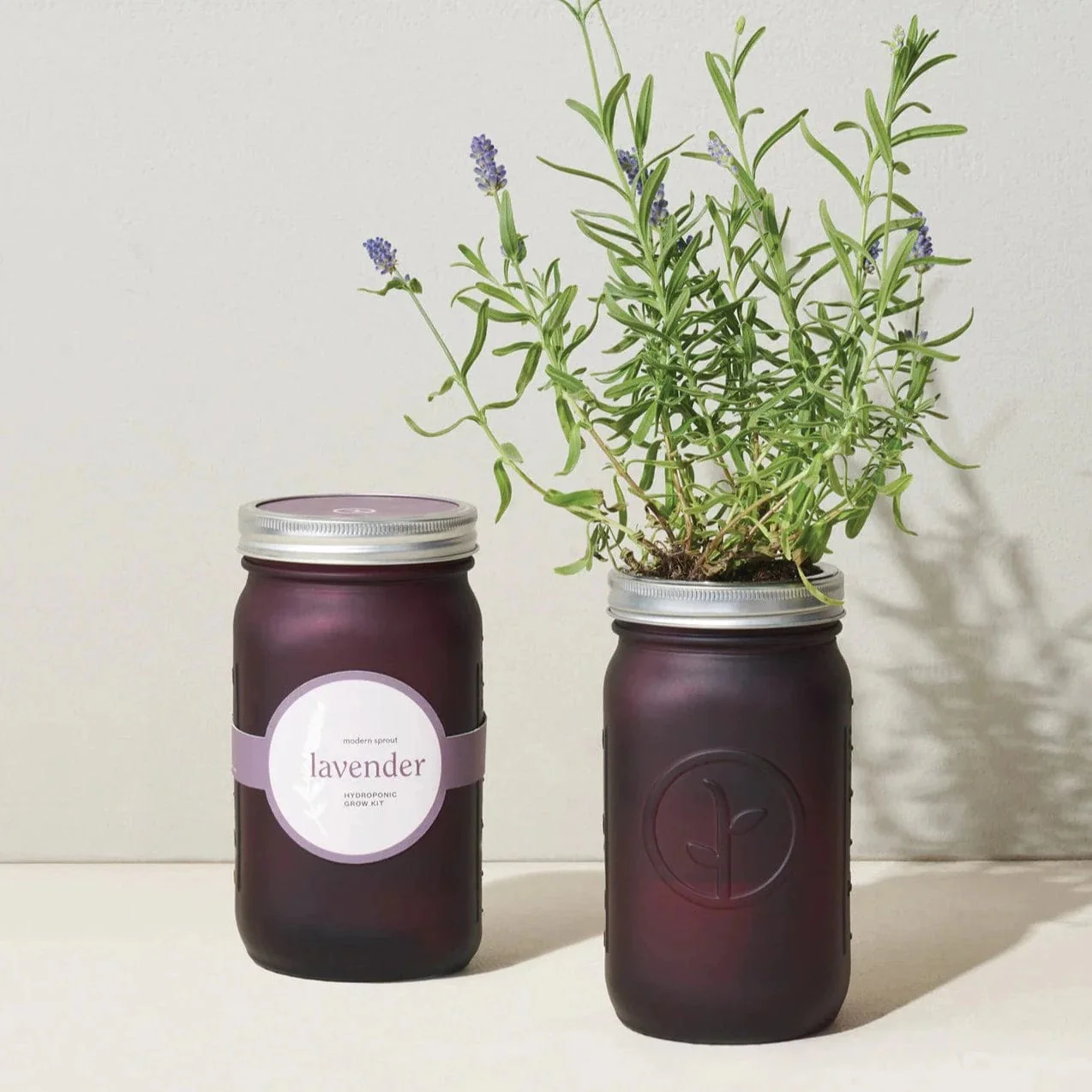 Herb Jar and Hydroponic Grow Kit - Image 10