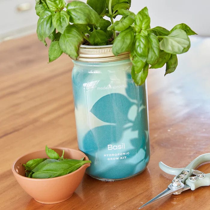 Herb Jar and Hydroponic Grow Kit - Image 5