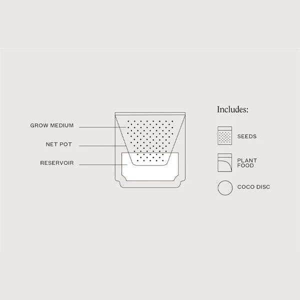 Tiny Terracotta Planter Kit - Image 5