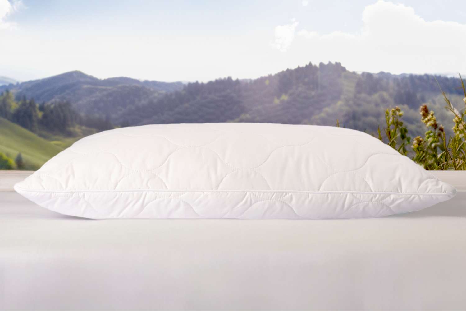 MyWoolly Pillow® - Image 3