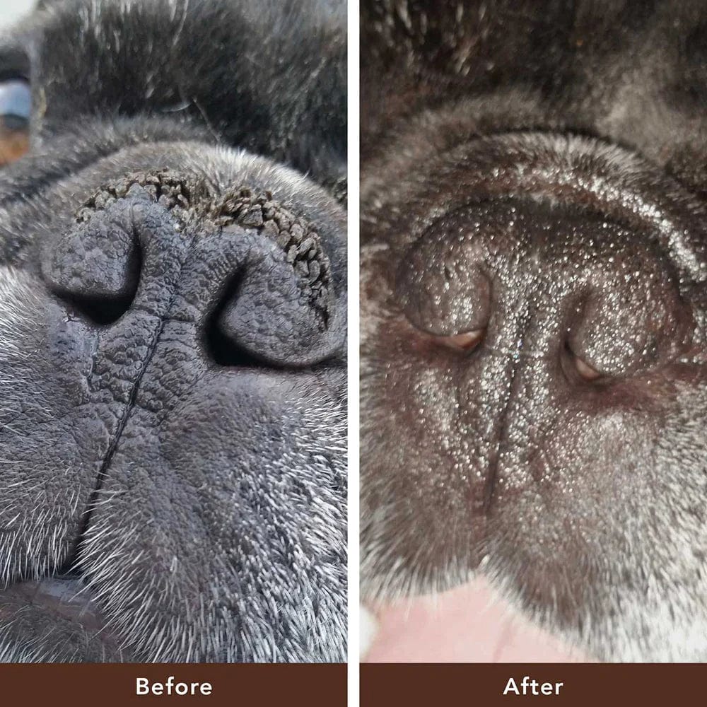 Snout Soother Dog Healing Balm - Image 2