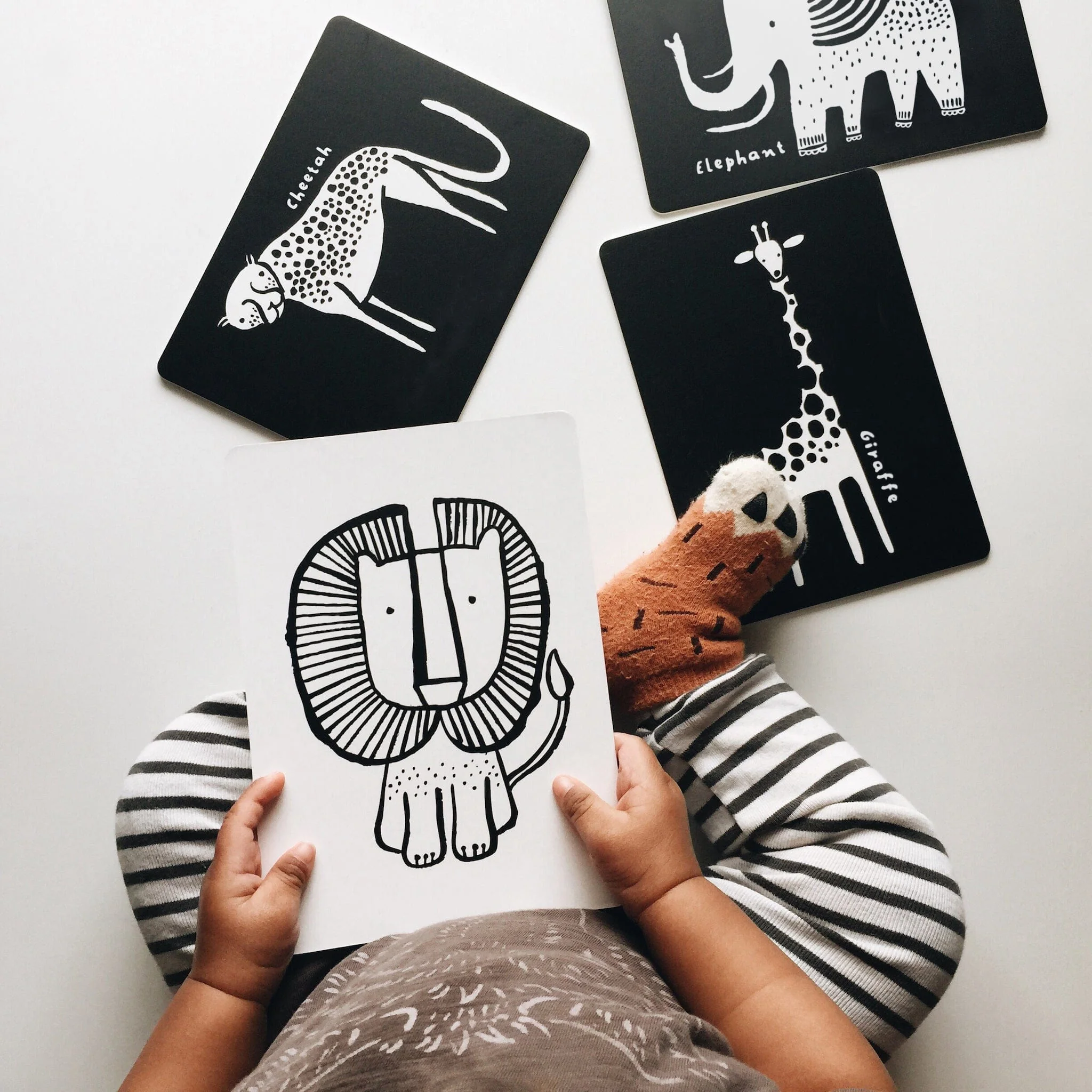 Newborn Baby Gift Set - Safari - Image 7