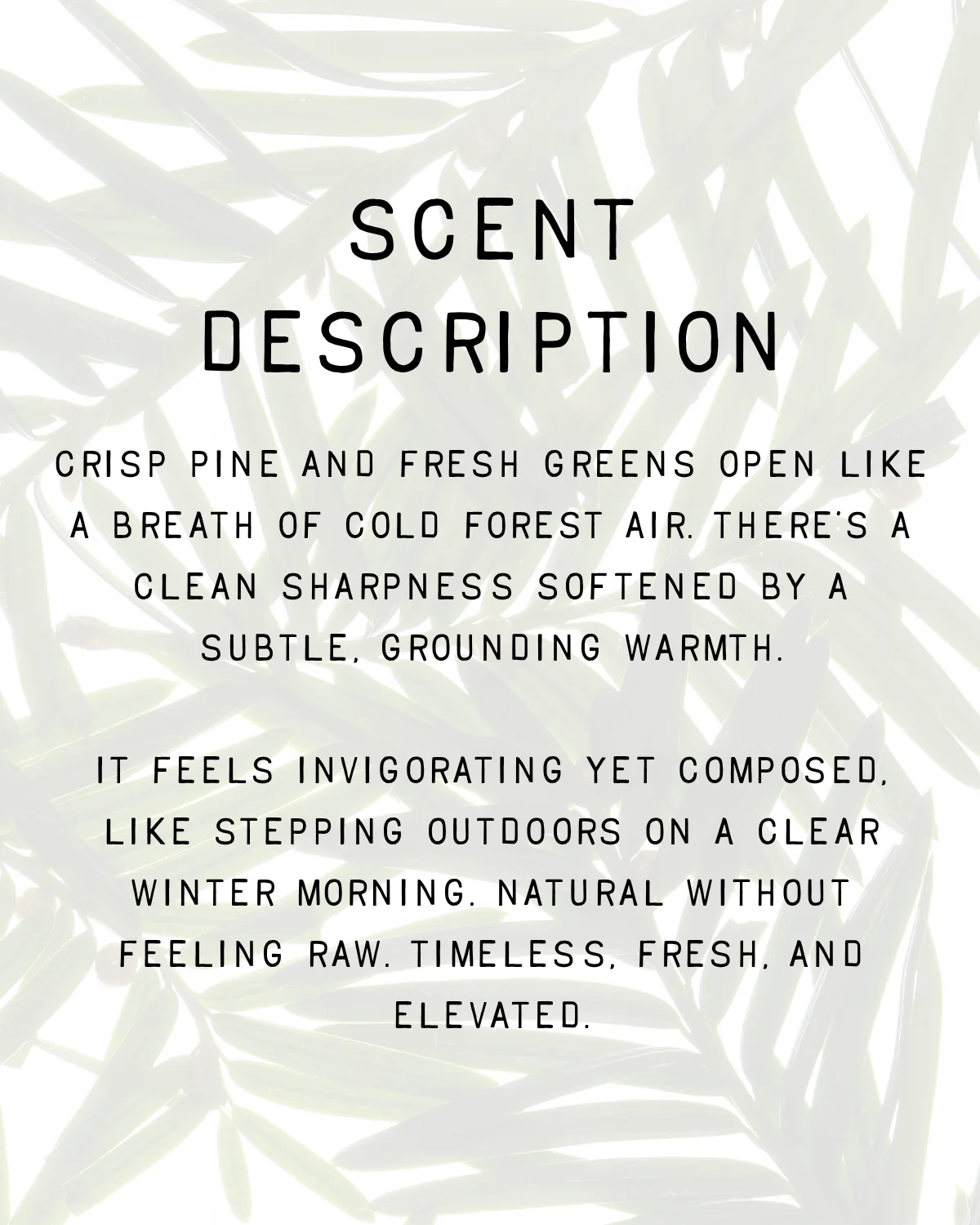 Noble Fragrance - Image 4