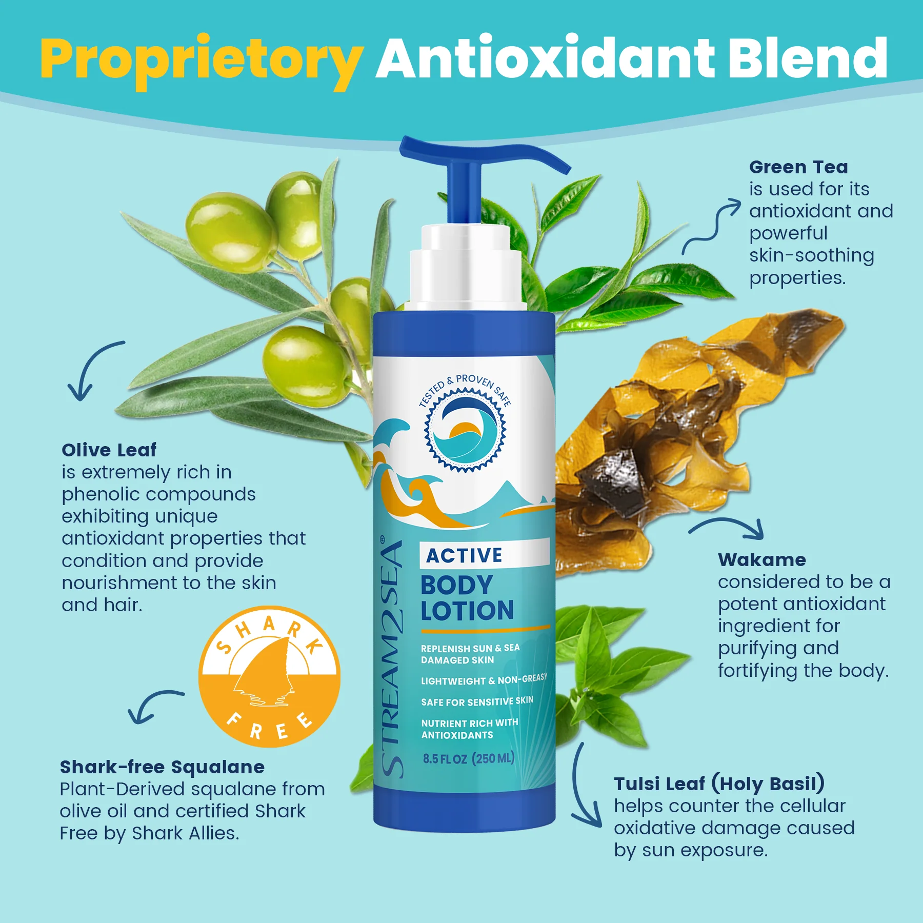 Nourishing Body Lotion - Image 5