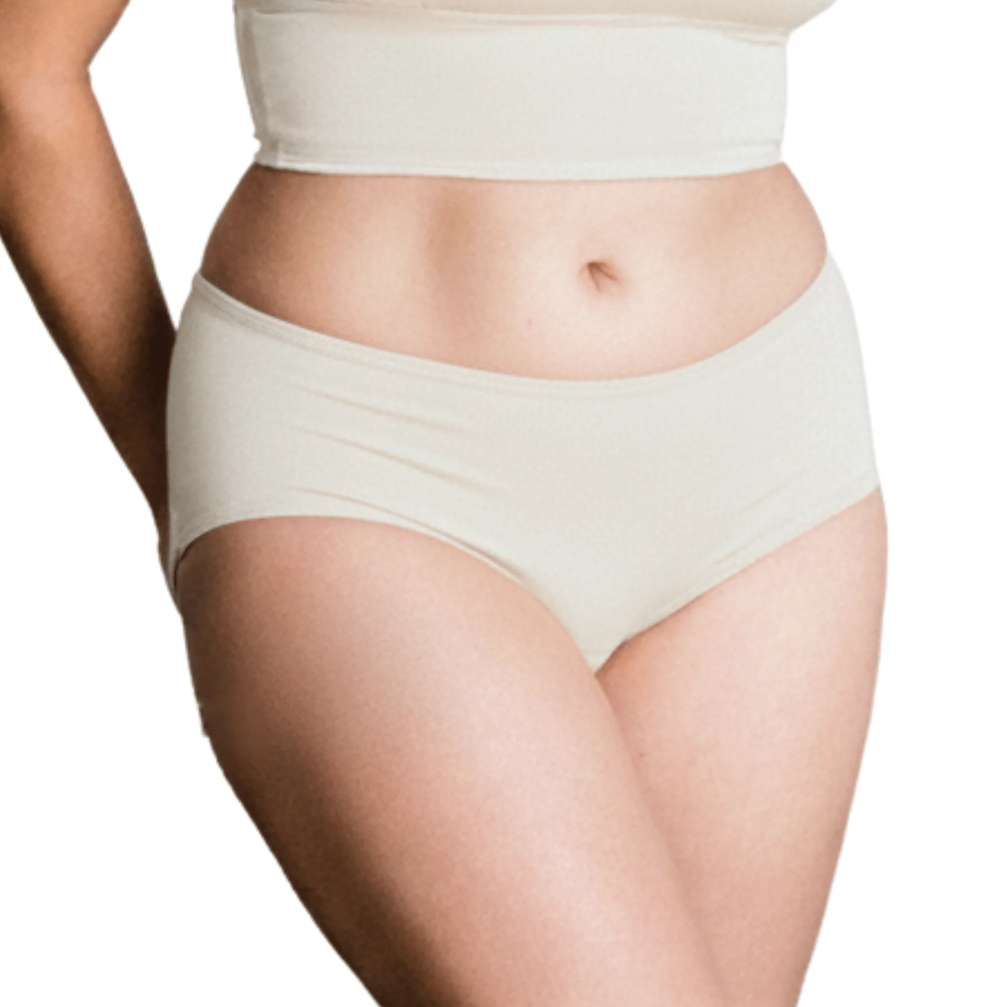 Organic Cotton Mid-Rise Brief - PRE-ORDER - Image 14
