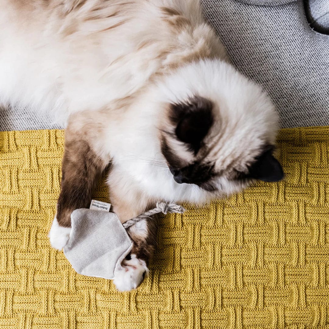 Stingray Catnip Cat Toy - Image 5