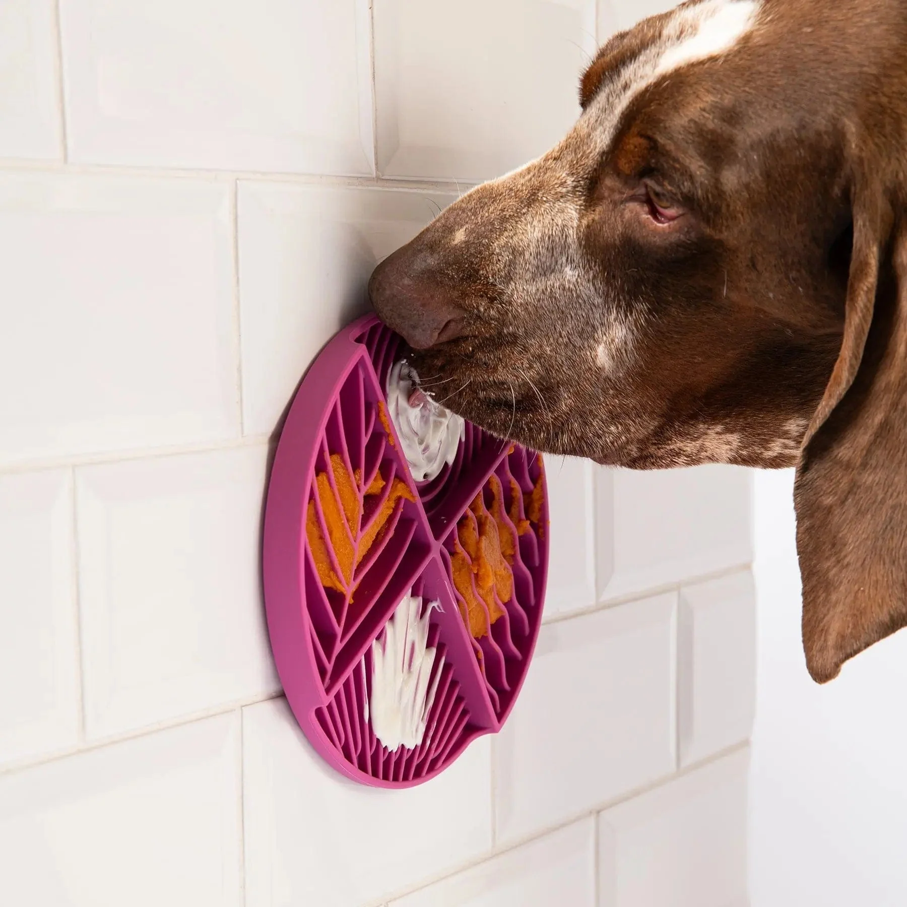 Paradise Lick Mat For Dogs - Image 8