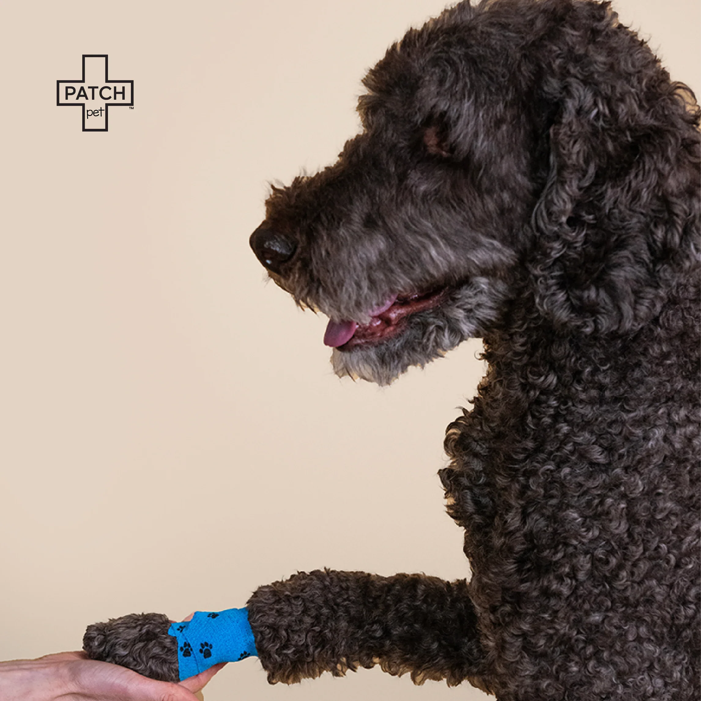 Pet Eco First-Aid Kit - Image 4
