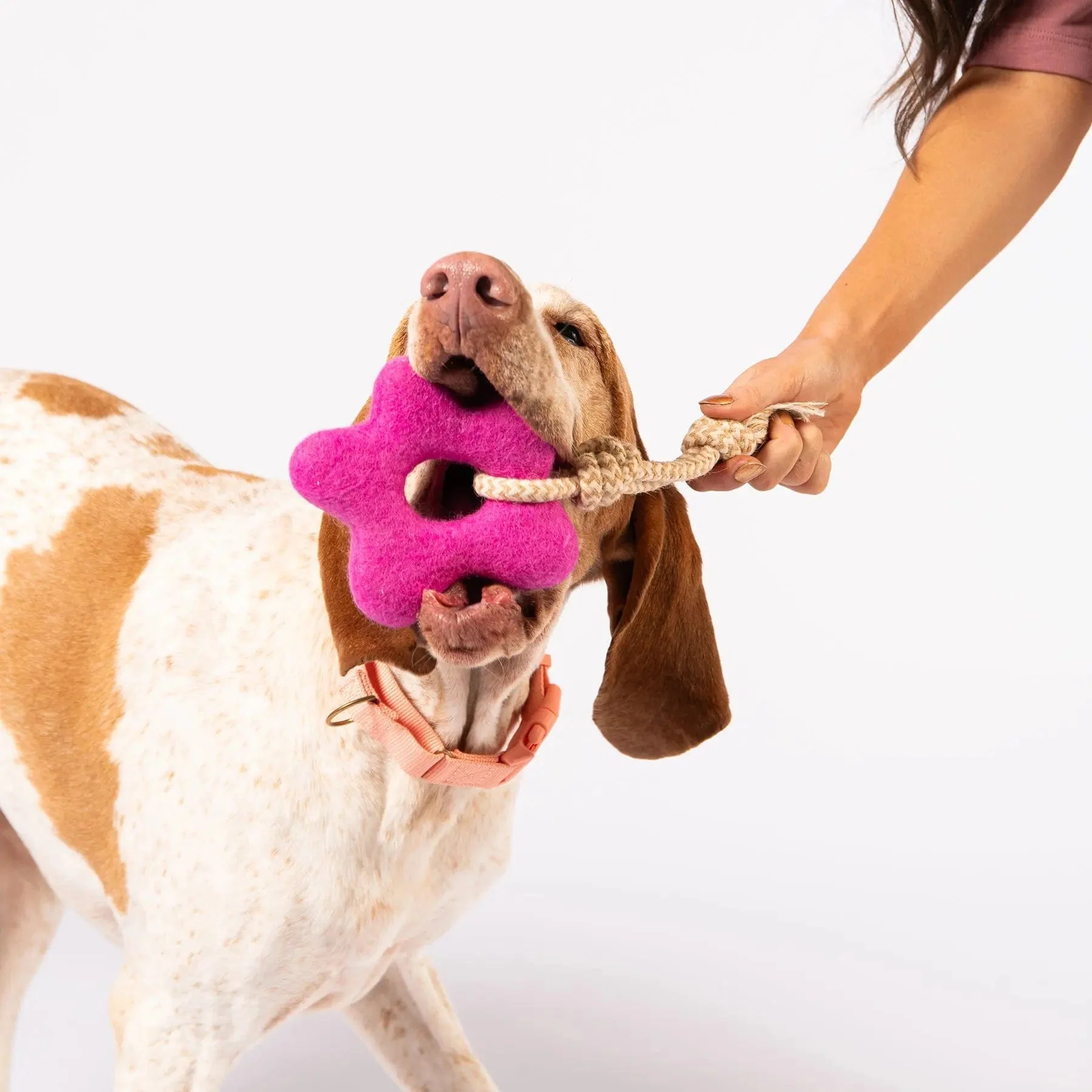 Pullin' Posies Felt Dog Toy - Image 3