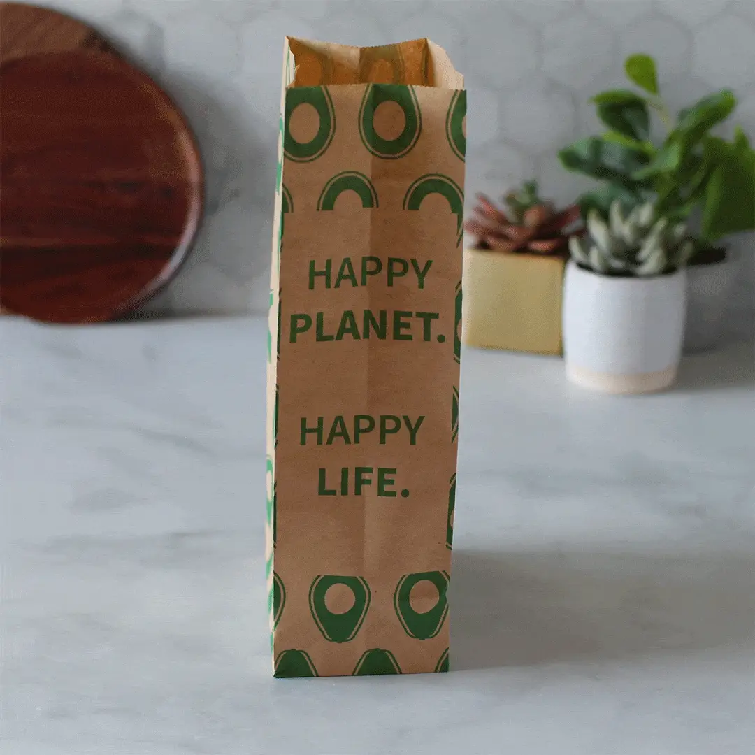 Recyclable Paper Lunch Sacs Variety Pack - Image 5