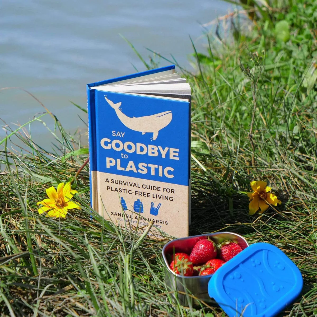 Say Goodbye to Plastic Book: A Survival Guide For Plastic-Free Living