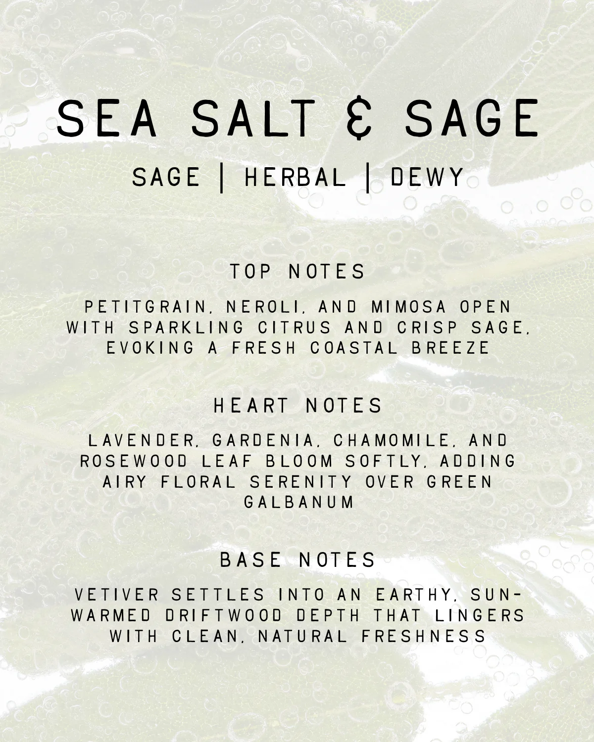 Sea Salt & Sage Fragrance - Image 2