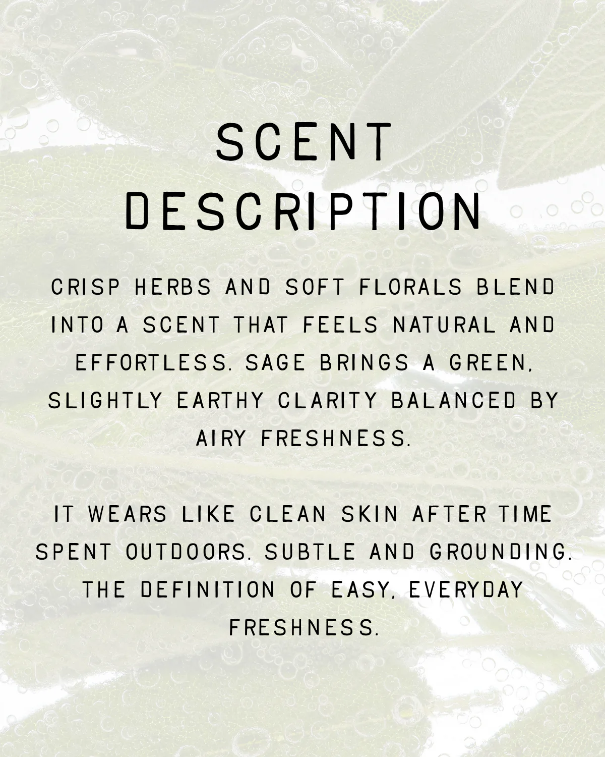 Sea Salt & Sage Fragrance - Image 3