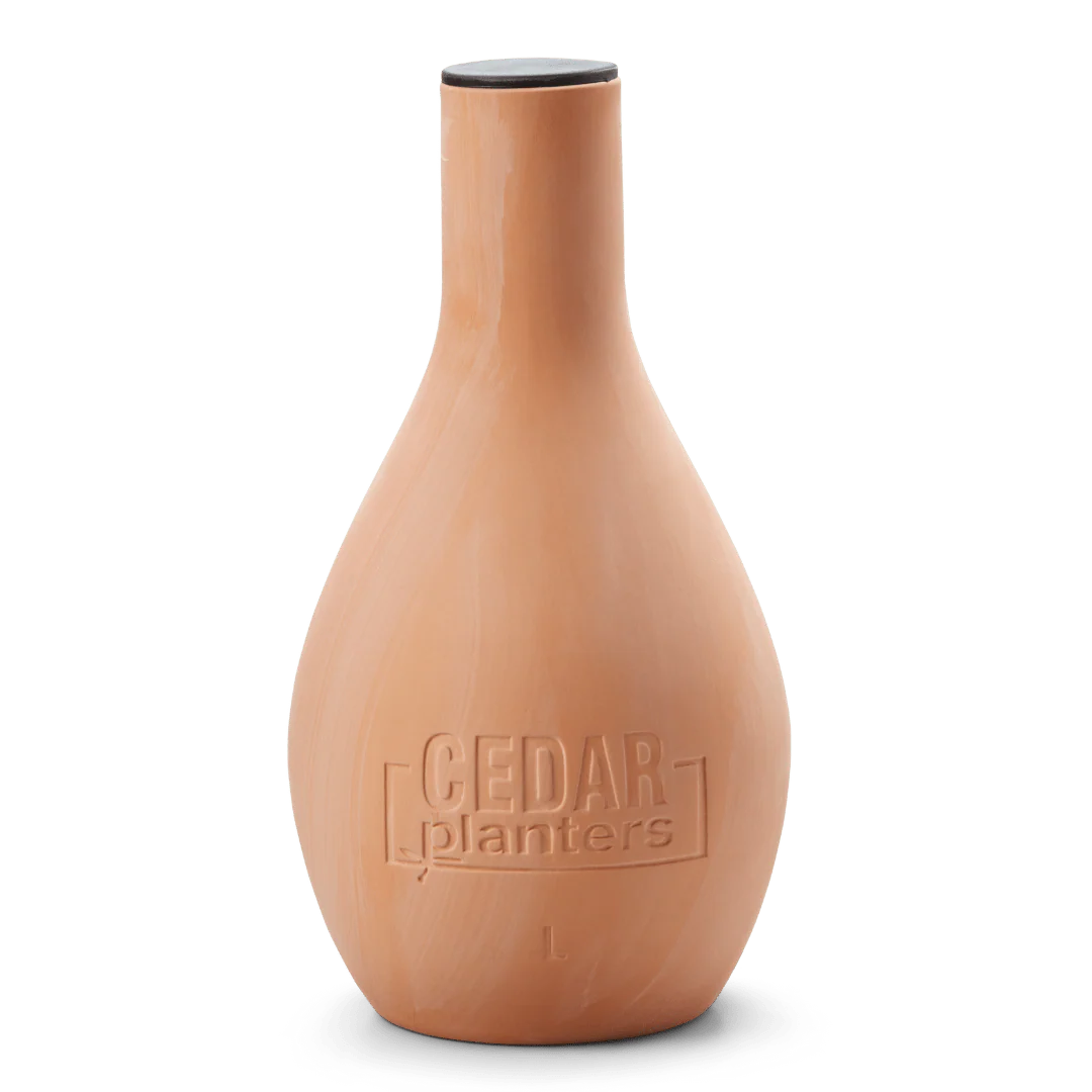 Self-Watering Clay Olla Pot - Image 10
