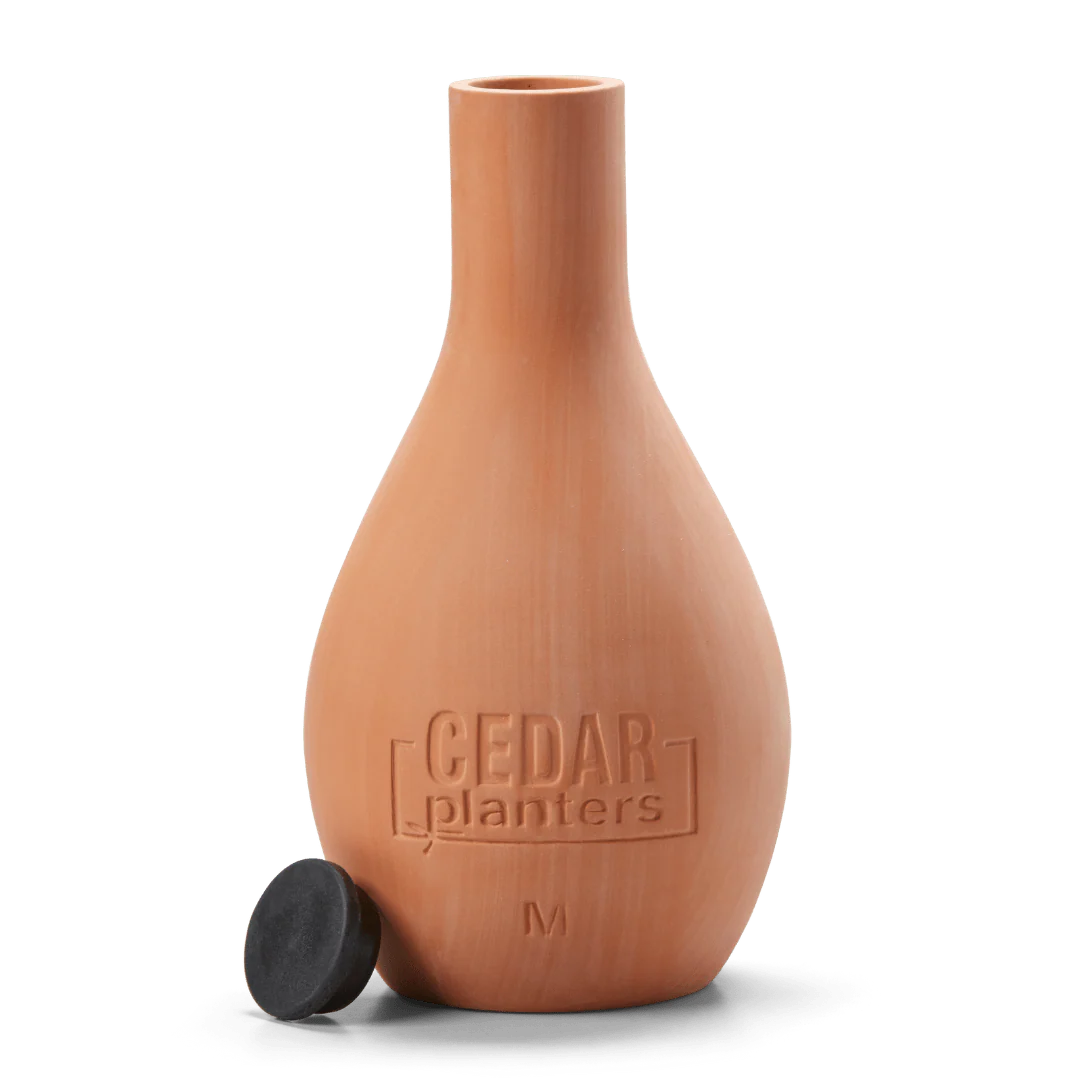 Self-Watering Clay Olla Pot - Image 6