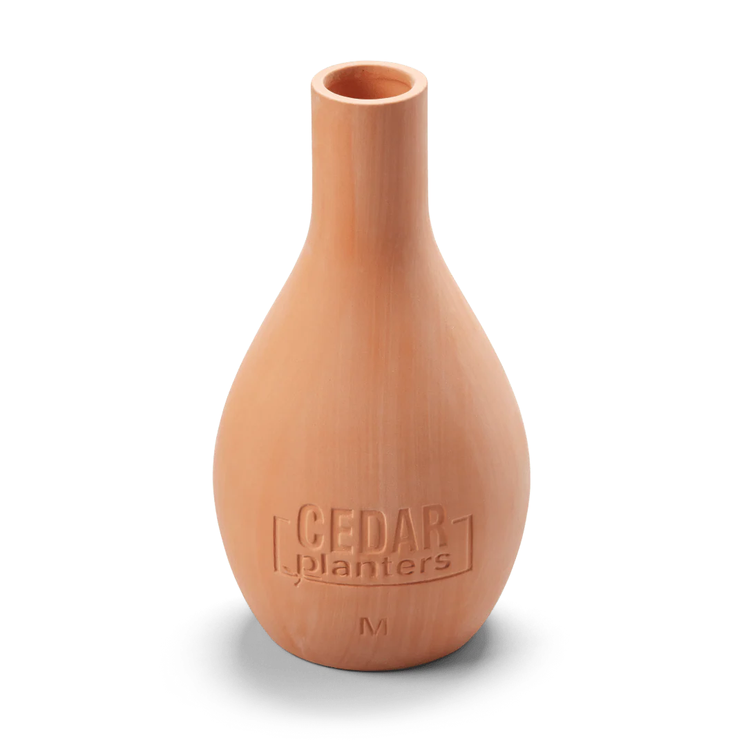 Self-Watering Clay Olla Pot - Image 7