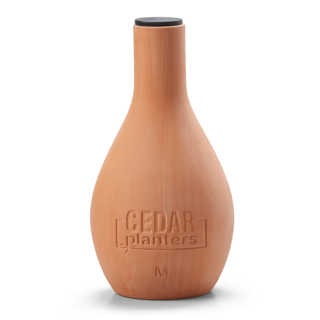 Self-Watering Clay Olla Pot - Image 8