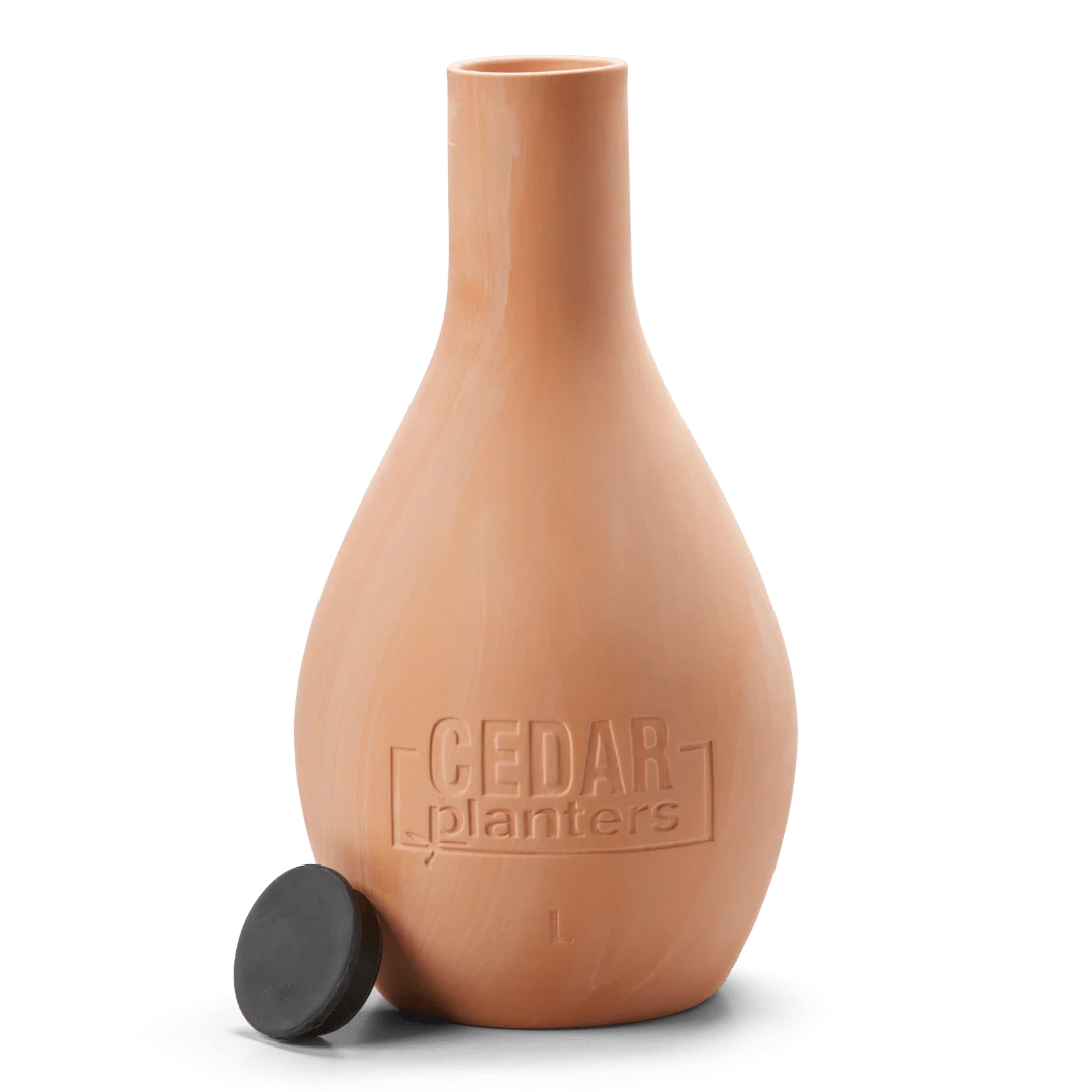Self-Watering Clay Olla Pot - Image 9
