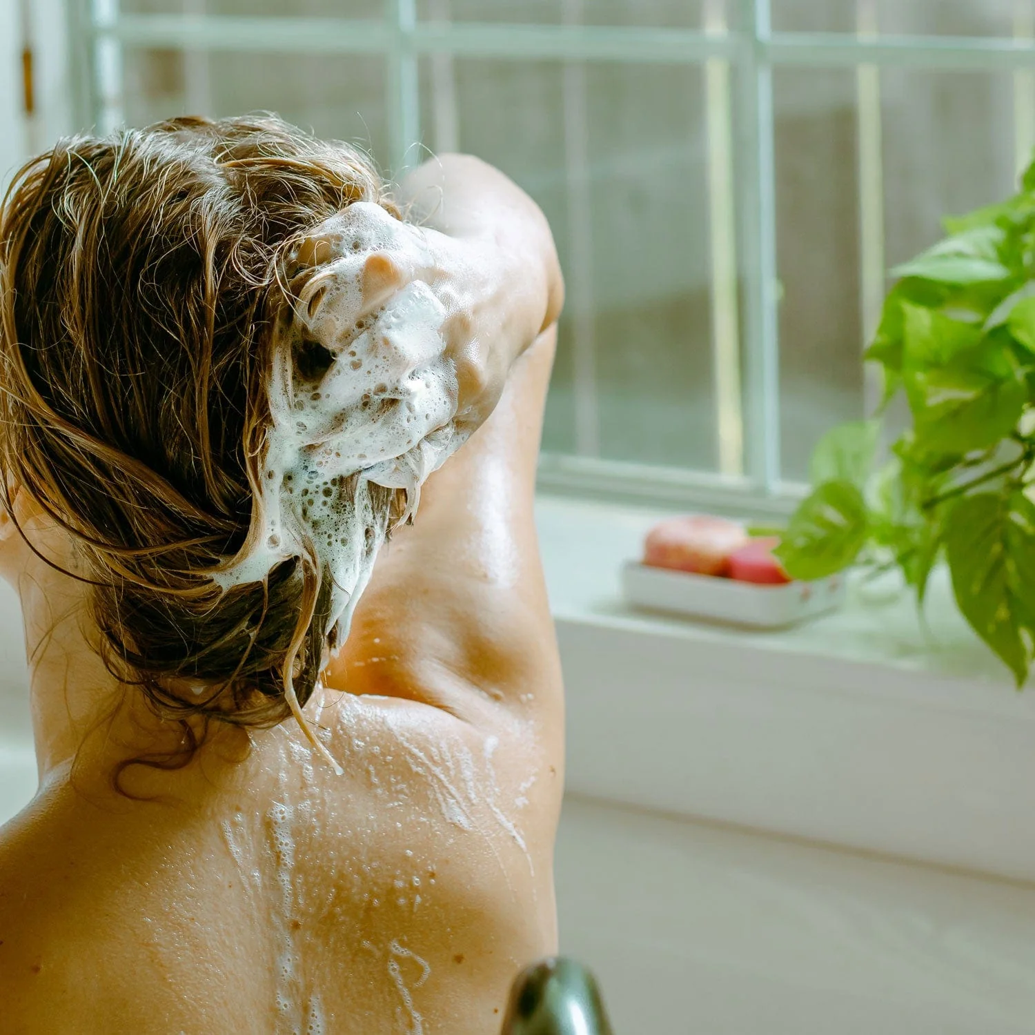 Shampoo Bar - Image 2