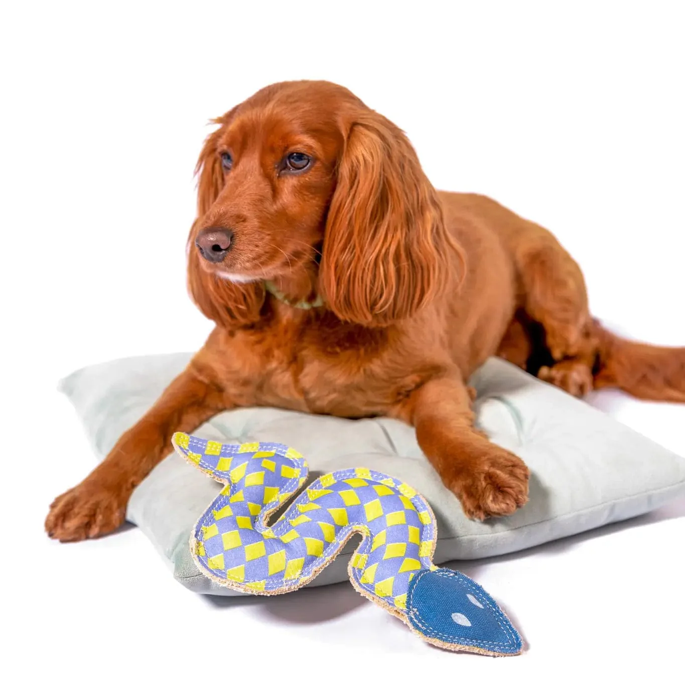 Canvas Sidewinder Dog Toy - Image 4