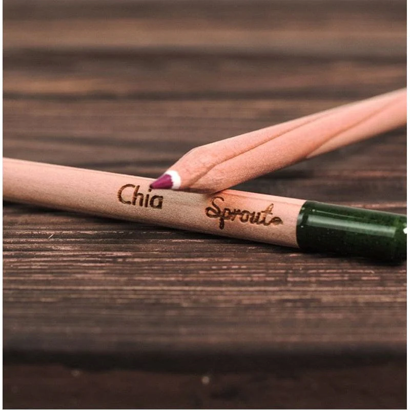 Plantable Colored Pencils - Image 4