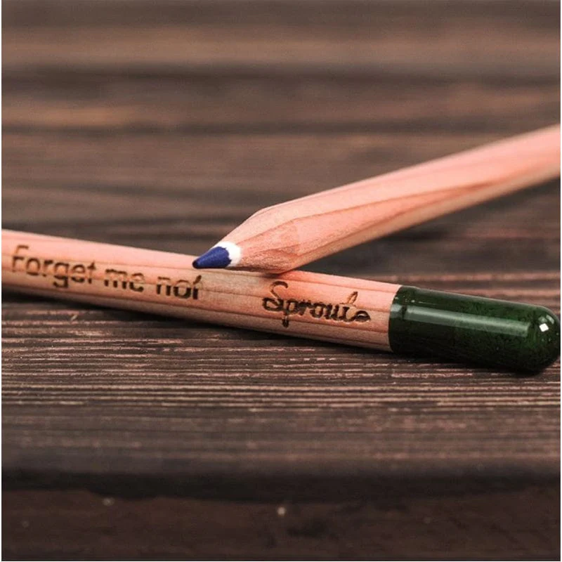 Plantable Colored Pencils - Image 5