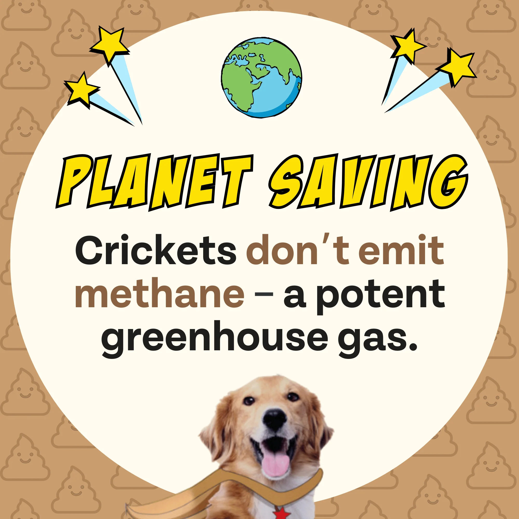 Superfood Cricket & Pumpkin Dog Treats, 4-Pack - Image 10