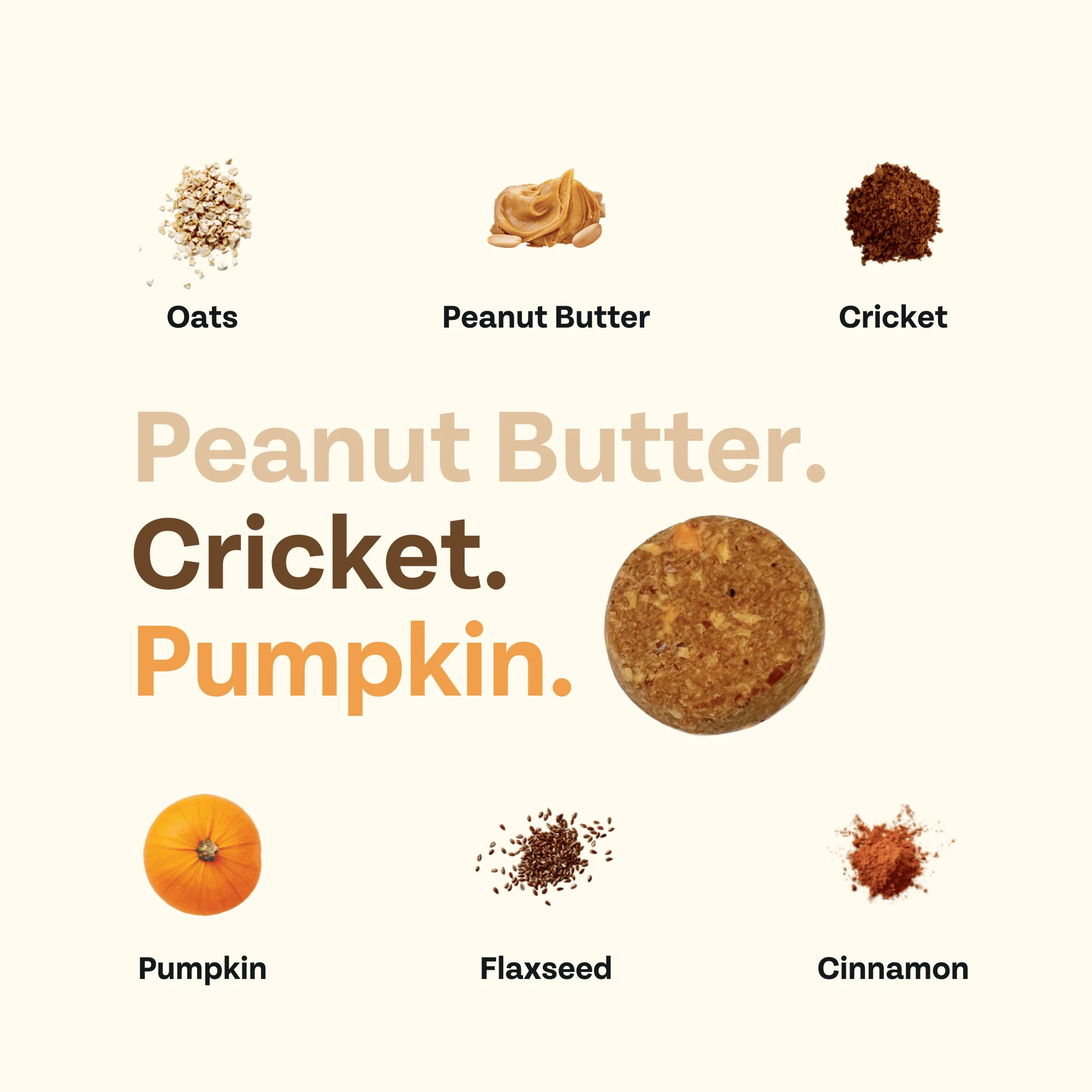 Superfood Cricket & Pumpkin Dog Treats, 4-Pack - Image 7