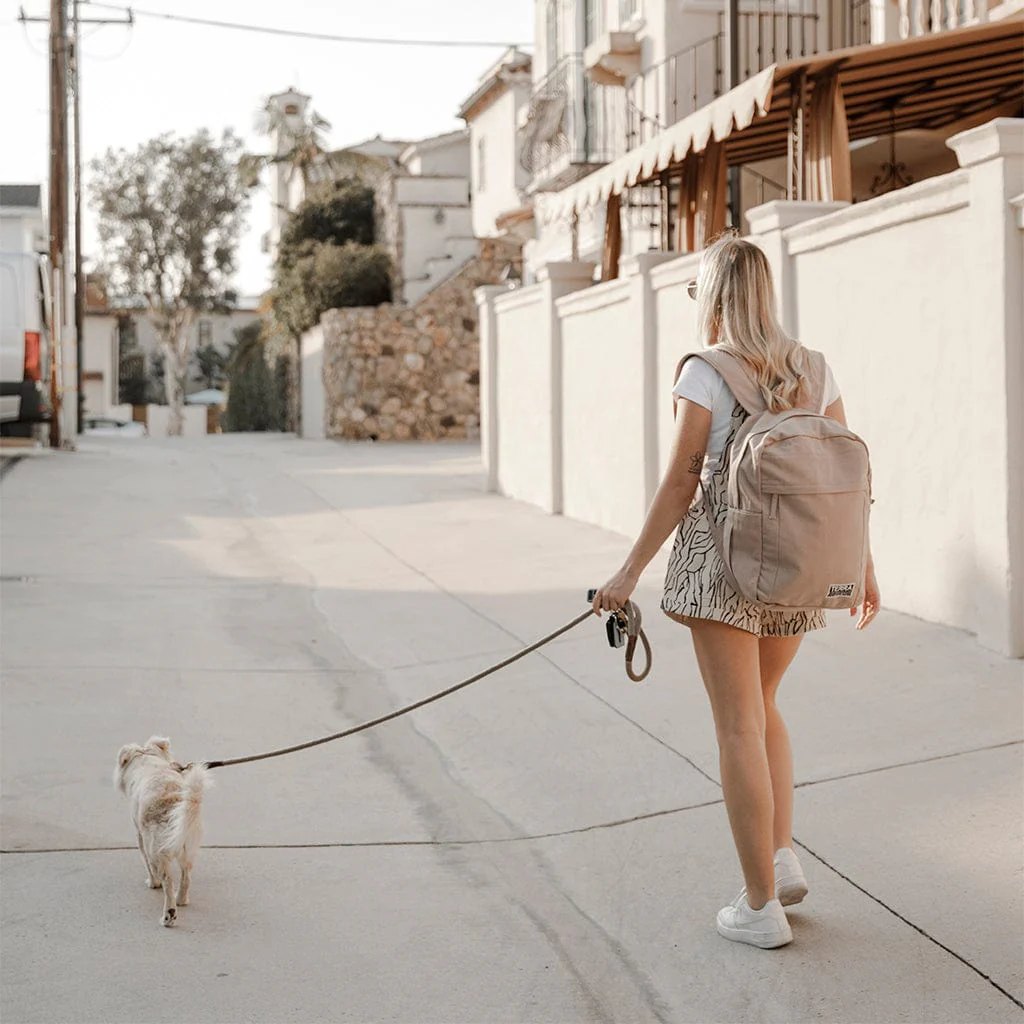 Organic Cotton Canvas Everyday Backpack - Image 64