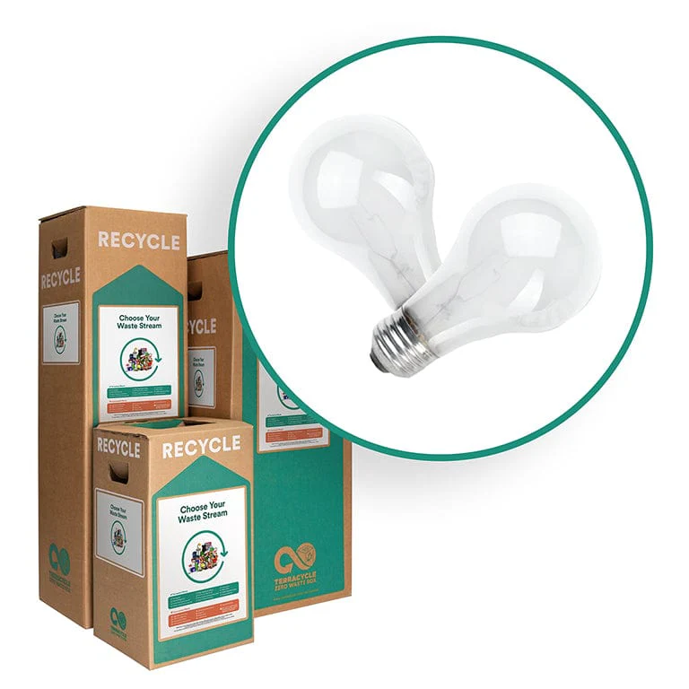Incandescent Light Bulbs - TerraCycle Zero Waste Box - Image 3