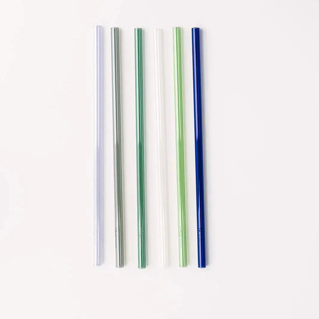 Tumbler 12" Glass Straw Set - Seaglass