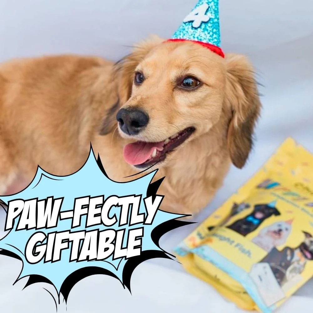 Chippin Complete Variety Bundle - Image 4