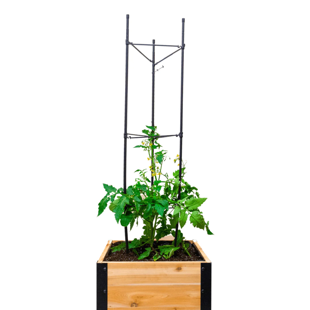 Vegetable Cage - Image 2