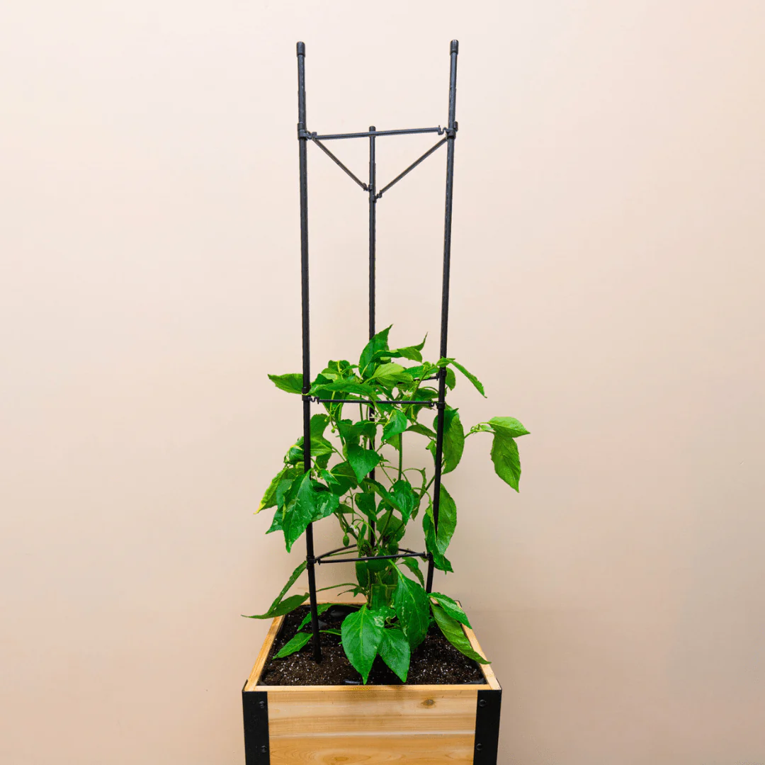 Vegetable Cage - Image 7