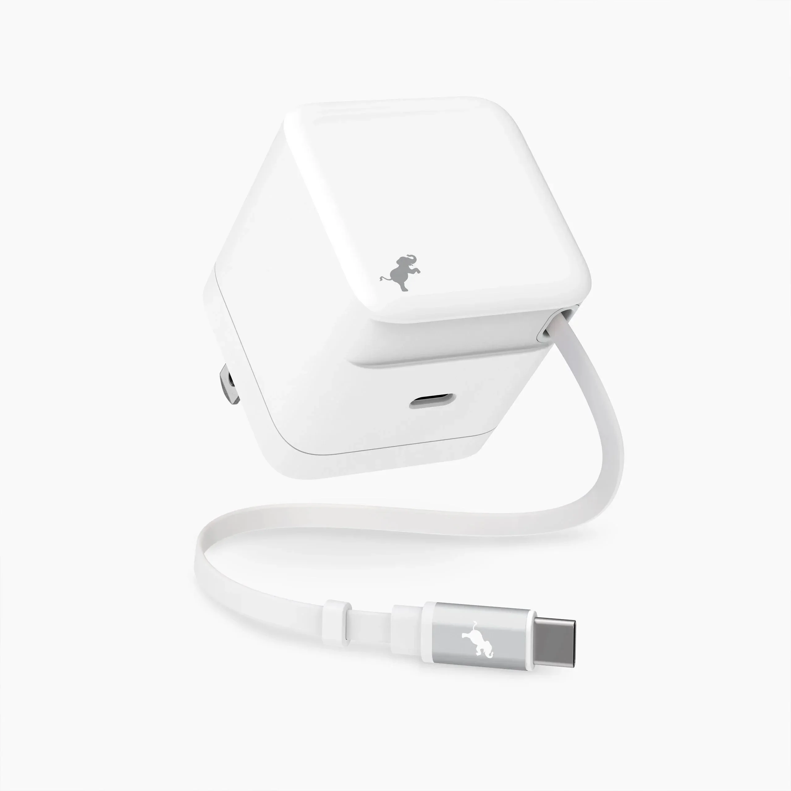 WALLY Stretch 65W Wall Charger