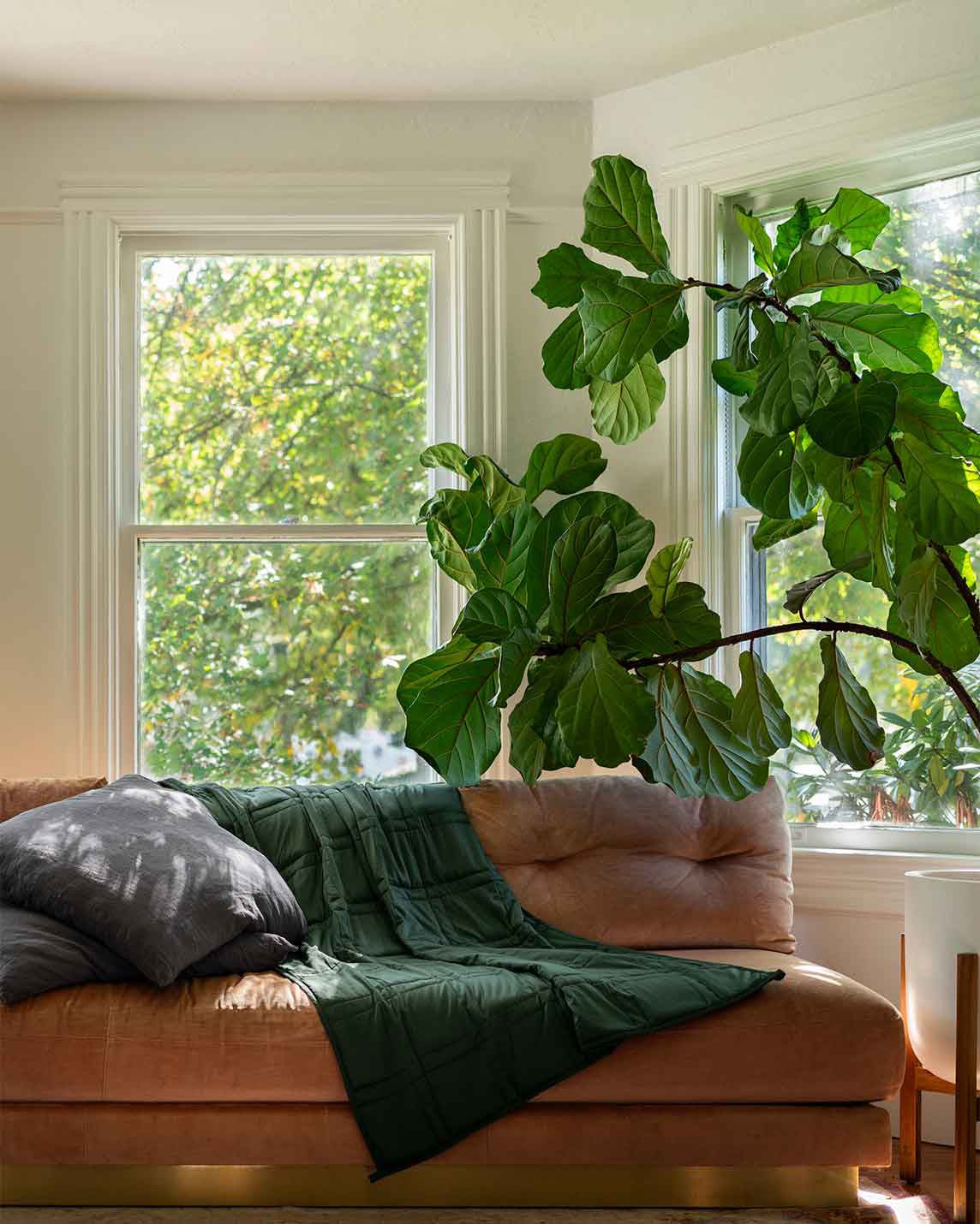Baloo Weighted Blanket - Organic Cotton - Image 31