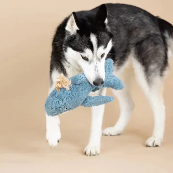 Whale Dog Toy - Image 3