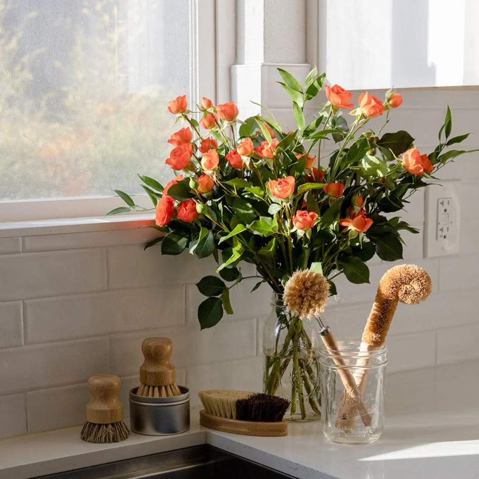 Zero Waste Dish Brush Kit - Image 5